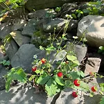 Villa Dom Na Wzgorzu
