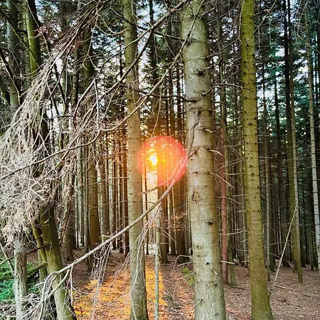 Villa Dom Na Wzgorzu