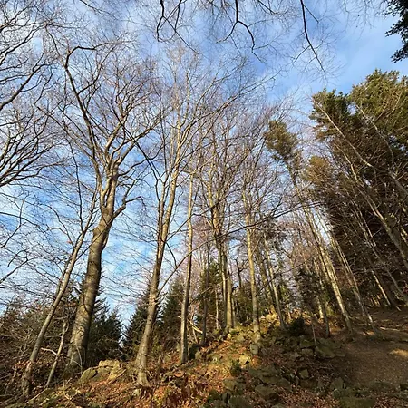 Dom Na Wzgorzu Villa *