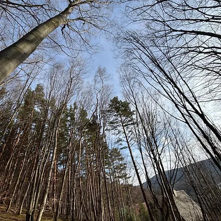 Villa Dom Na Wzgorzu Poreba (Myslenice)