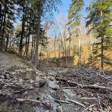 Dom Na Wzgorzu Villa *