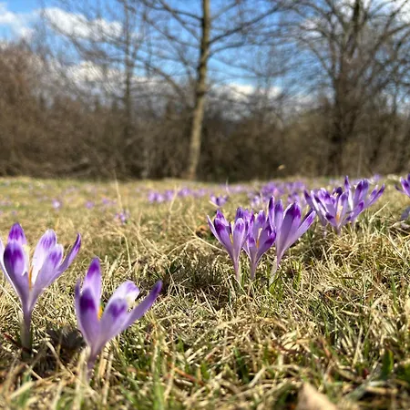 Dom Na Wzgorzu Villa Poreba (Myslenice)
