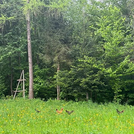 Dom Na Wzgorzu