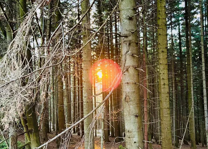 Villa Dom Na Wzgórzu