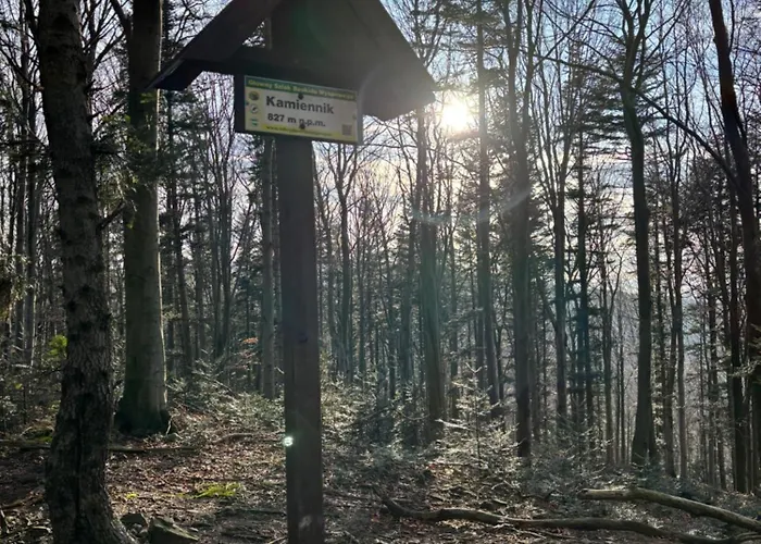 Dom Na Wzgórzu Villa