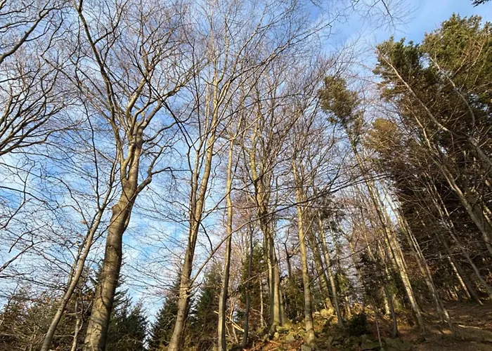 Dom Na Wzgórzu Villa *