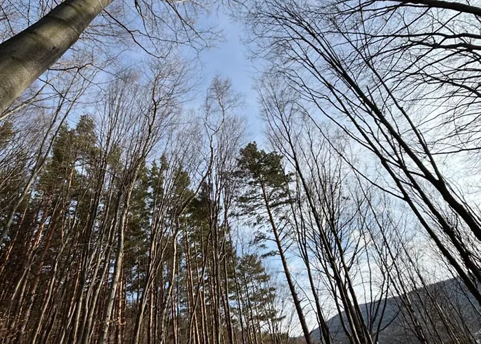 Villa Dom Na Wzgórzu Poreba (Myslenice)