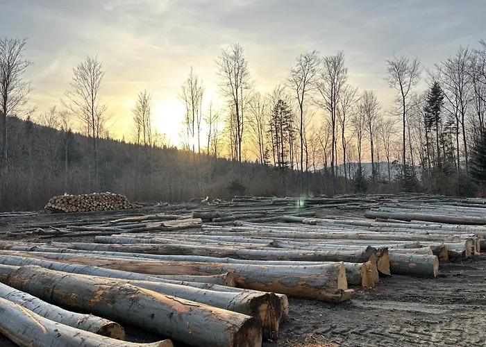 Dom Na Wzgórzu * Poreba (Myslenice)